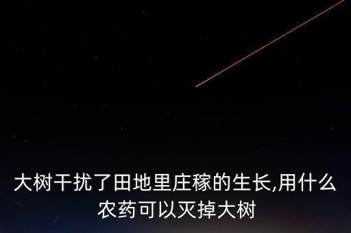 大樹干擾了田地里莊稼的生長,用什么 農(nóng)藥可以滅掉大樹