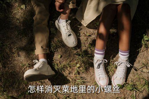 怎樣消滅菜地里的小螺絲