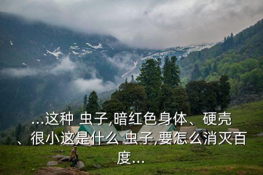 ...這種 蟲子,暗紅色身體、硬殼、很小這是什么 蟲子,要怎么消滅百度...