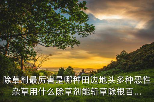 什么農藥滅草最霸道,種菜前打什么農藥沒草