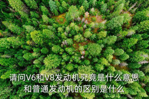 請問V6和V8發(fā)動機究竟是什么意思和普通發(fā)動機的區(qū)別是什么