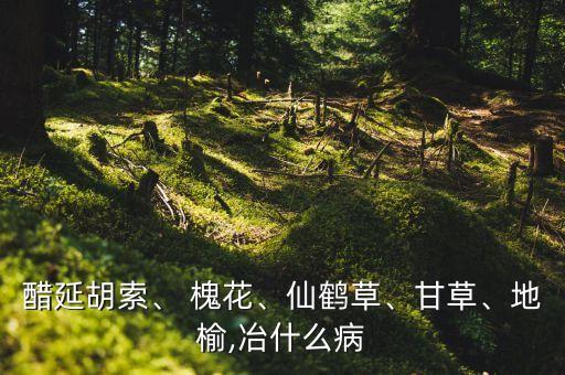 醋延胡索、 槐花、仙鶴草、甘草、地榆,冶什么病