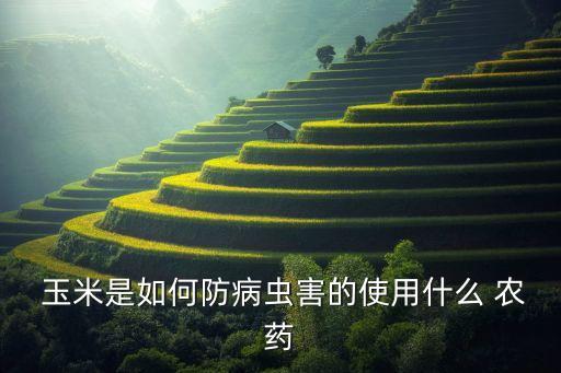 種玉米用什么農(nóng)藥好些,什么農(nóng)藥能讓玉米不結(jié)棒