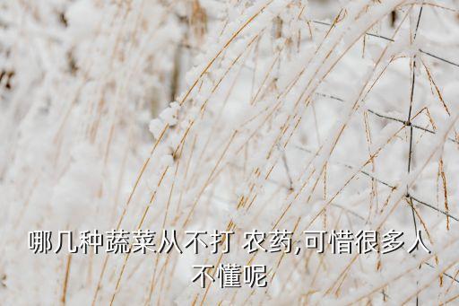 ,什么菜沒有打過農藥的東西