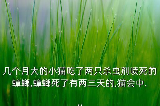 幾個月大的小貓吃了兩只殺蟲劑噴死的蟑螂,蟑螂死了有兩三天的,貓會中...