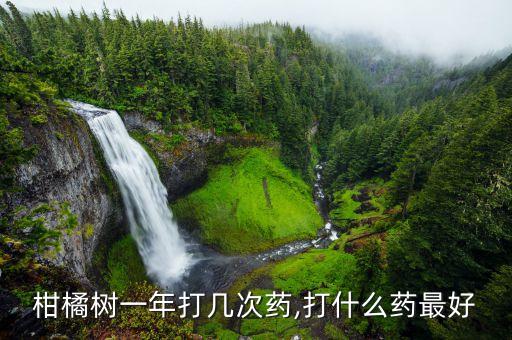 柑橘樹一年打幾次藥,打什么藥最好