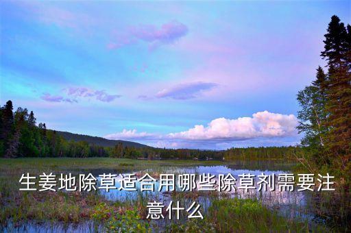 生姜地除草適合用哪些除草劑需要注意什么