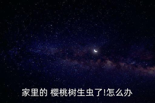 家里的 櫻桃樹生蟲了!怎么辦