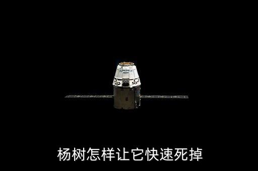 用什么農(nóng)藥能把楊樹殺死,殺死楊樹的最好最快的農(nóng)藥