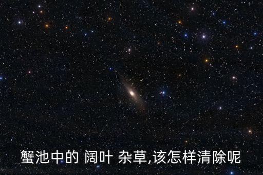 蟹池中的 闊葉 雜草,該怎樣清除呢