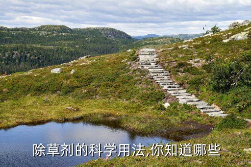 農(nóng)藥除草有什么用呢,什么農(nóng)藥除草效果最好