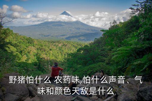 畜牧養殖最怕什么農藥