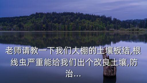 老師請教一下我們大棚的土壤板結(jié),根 線蟲嚴重能給我們出個改良土壤,防治...
