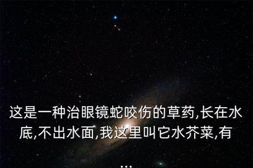 這是一種治眼鏡蛇咬傷的草藥,長在水底,不出水面,我這里叫它水芥菜,有...