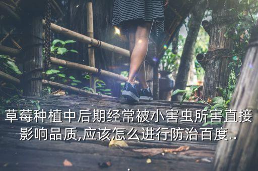 智利蟲的農(nóng)藥是什么,地蟲硫磷是什么農(nóng)藥