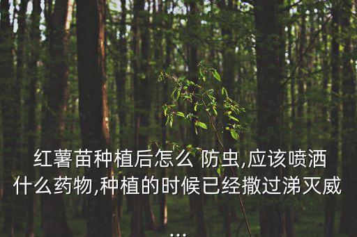 紅薯要噴什么農藥呢,紅薯防蟲用什么農藥