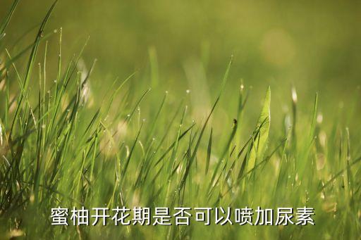 ,三月蜜柚噴什么農藥