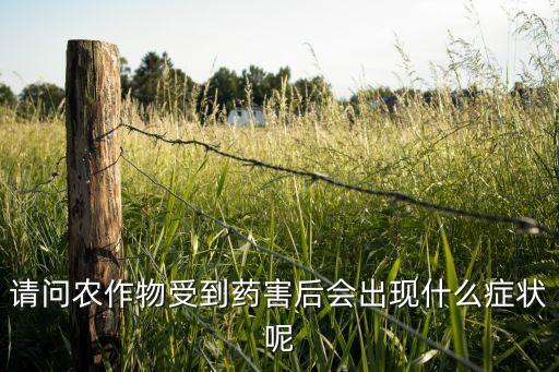 請問農作物受到藥害后會出現什么癥狀呢