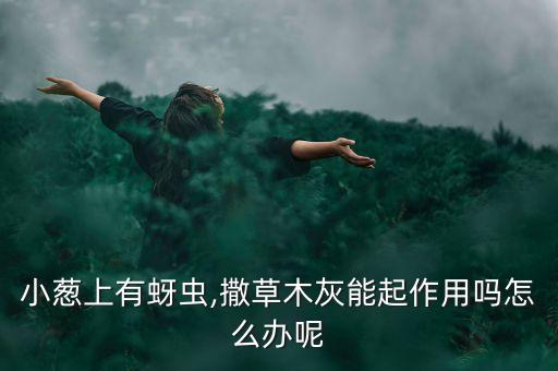 種蔥可以加點什么農藥殺蟲