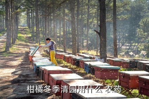 柑橘冬季清園用什么 農藥