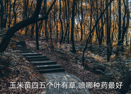 玉米發(fā)芽用什么農(nóng)藥,玉米在什么情況下發(fā)芽