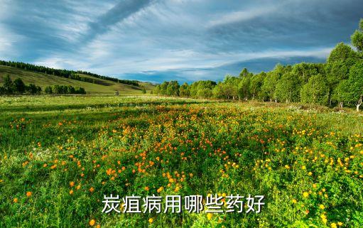 治療炭疽病最新農藥是什么,炭疽病特效農藥是什么?