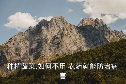 種植蔬菜,如何不用 農藥就能防治病害