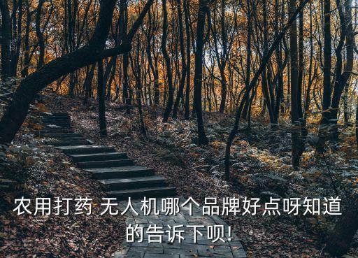 農用打藥 無人機哪個品牌好點呀知道的告訴下唄!