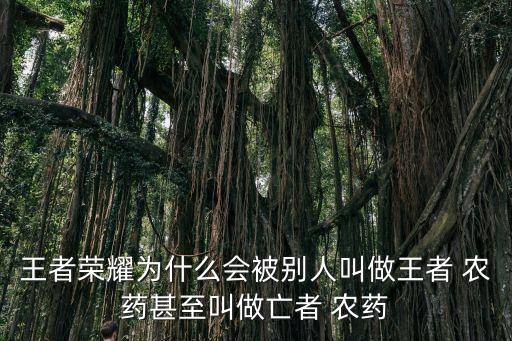 網語 農藥 是什么意思,網語666是什么意思