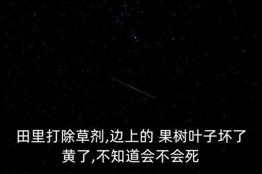 什么農(nóng)藥可致果樹死亡,果樹打什么農(nóng)藥,啥時候打