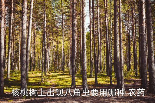 核桃打農藥用什么,核桃和什么打最有營養