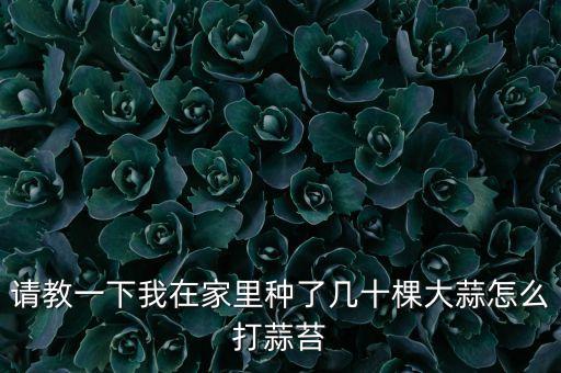 請教一下我在家里種了幾十棵大蒜怎么打蒜苔