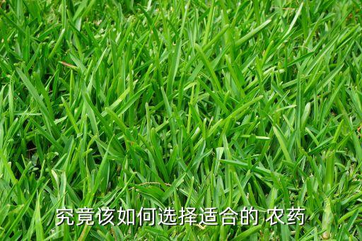 究竟該如何選擇適合的 農(nóng)藥