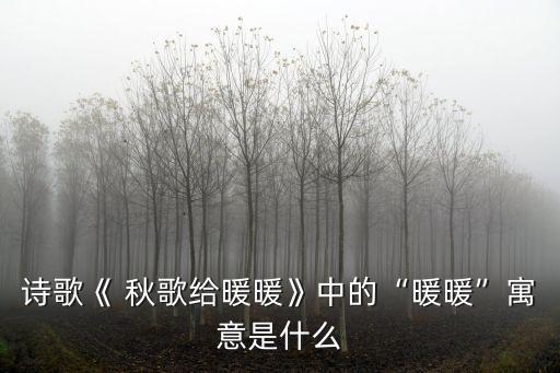 詩歌《 秋歌給暖暖》中的“暖暖”寓意是什么