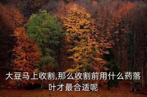 黃豆葉子發黃用什么農藥,黃豆苗葉子發黃是怎么回事