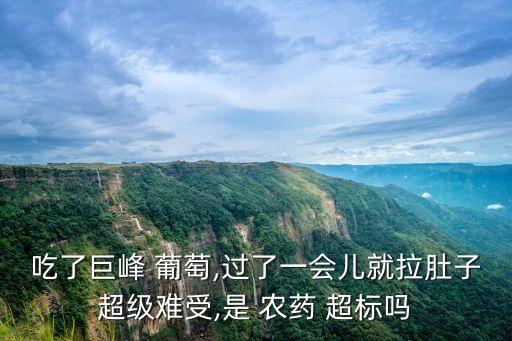 吃了巨峰 葡萄,過了一會兒就拉肚子超級難受,是 農(nóng)藥 超標嗎