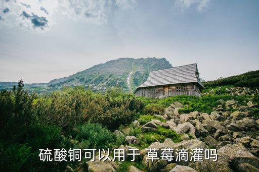 硫酸銅可以用于 草莓滴灌嗎