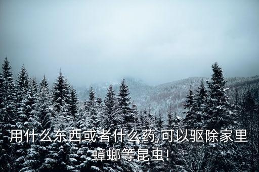 什么農藥殺蟑螂好用,農藥敵敵畏可以殺蟑螂嗎