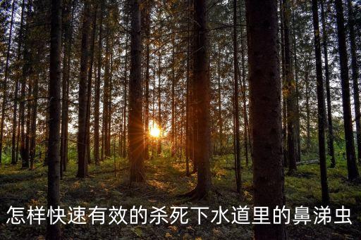 怎樣快速有效的殺死下水道里的鼻涕蟲