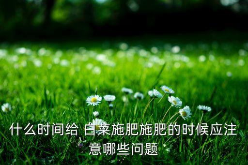什么時間給 白菜施肥施肥的時候應注意哪些問題