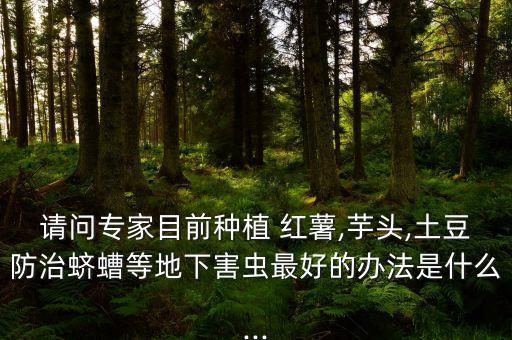 紅薯發瘟用什么農藥殺死,什么樣的紅薯沒農藥