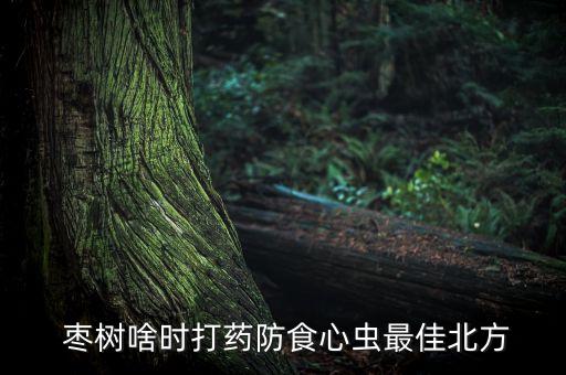 棗樹啥時打藥防食心蟲最佳北方