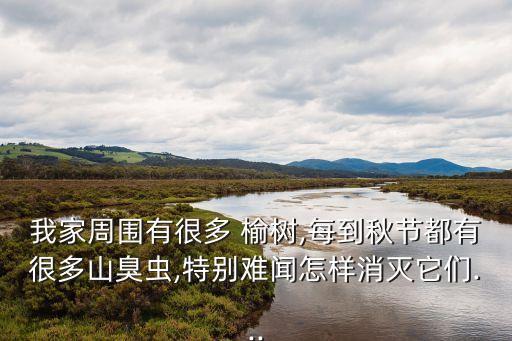 我家周圍有很多 榆樹,每到秋節(jié)都有很多山臭蟲,特別難聞怎樣消滅它們...