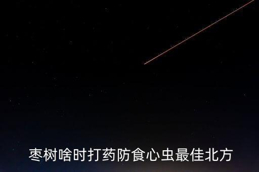 棗樹啥時(shí)打藥防食心蟲最佳北方