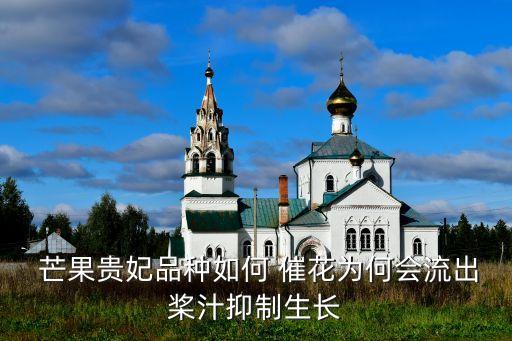 芒果催花什么農藥,芒果農藥什么時間打最好