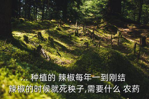 ... 種植的 辣椒每年一到剛結 辣椒的時候就死秧子,需要什么 農藥