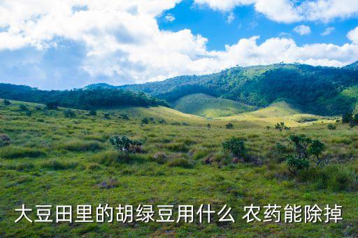 什么農藥殺鬼針草,鬼針草可以解農藥的毒嗎