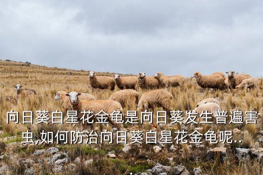 金色甲蟲用什么農藥,打跳甲蟲什么農藥好