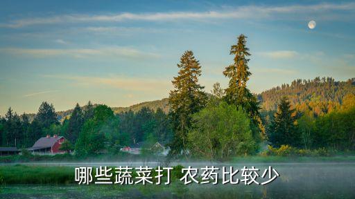 什么青菜不會打農藥,青菜用什么農藥殺蟲