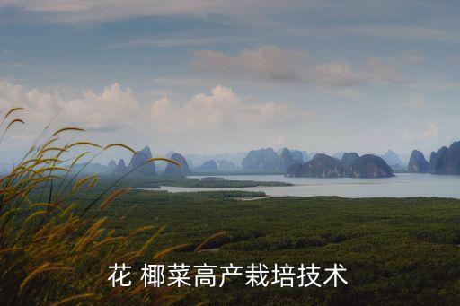 椰菜用什么農藥,椰菜不能和什么同吃?